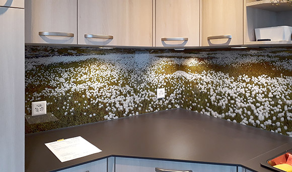 Küchenrückwand aus Glas, mit Panoramafoto von Wollgras