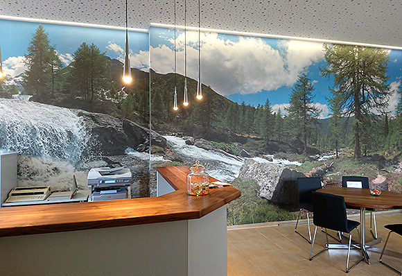 Grosses Wandbild einer Naturlandschaft in Büro
