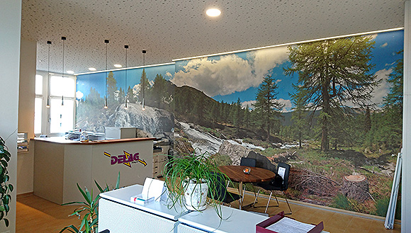 Wandpanorama einer Naturlandschaft in Büro