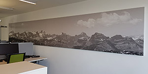 Ein Panoramafoto in Schwarz/Weiss wurde für die Gestaltung eines Akustikpanels verwendet.