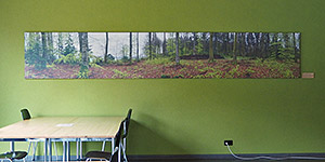 Grosses Panoramabild als Gestaltungselement in Personalrestaurant.
