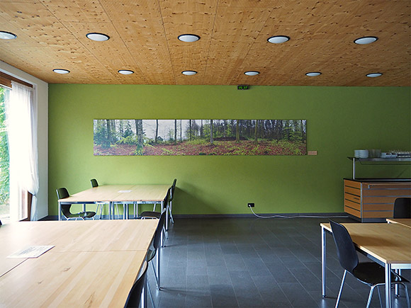 Grosses Panoramafoto eines Frühlingswaldes in Personalrestaurant