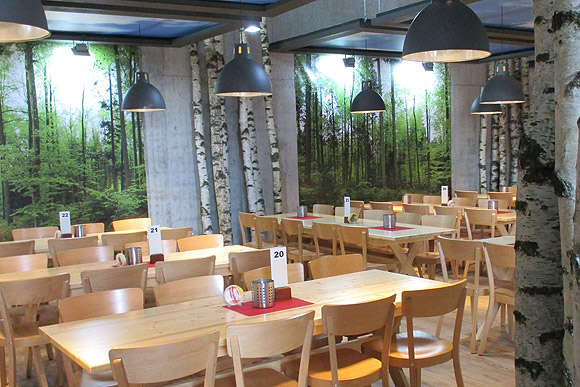 Grosses Waldpanorama eines Frühlingswaldes in Restaurant