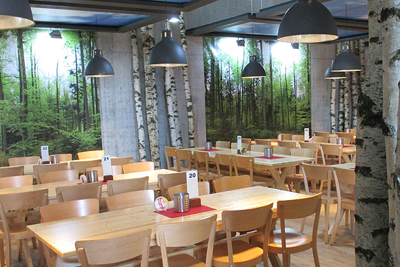 Large panorama of a spring forest in restaurant.