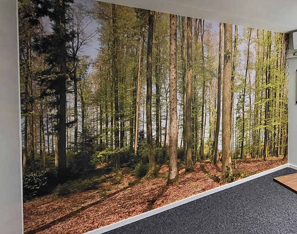 Wandbild eines Frühlingswald in einem Büro.