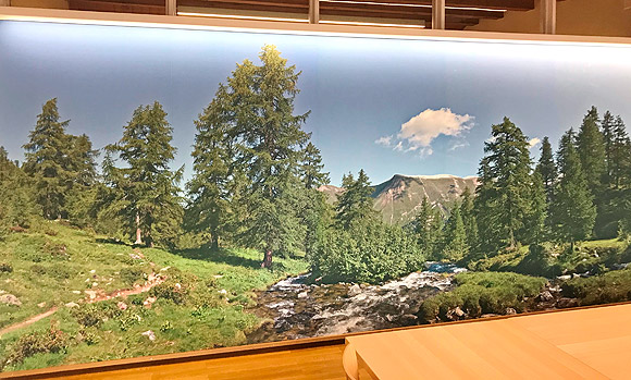Panoramafoto einer Naturlandschaft als Wandbild in Besprechungsraum.