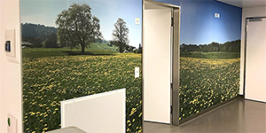 Hochauflösende Panoramafotos als Wandbilder in Kleineingriffsraum & Untersuchungsraum.