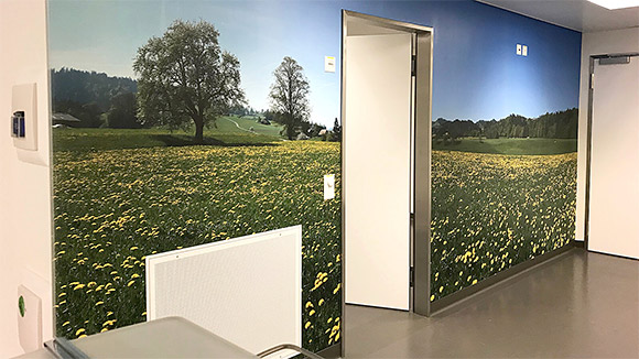 Wandbild mit Frühlingslandschaft. Druck auf Tapete.