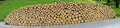 P000173: Panorama Holz: Aufgeschichtetes Rundholz
