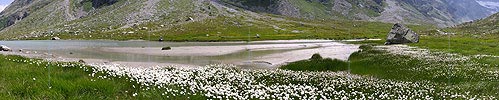 P000305: Panorama Chummibort, Binntal