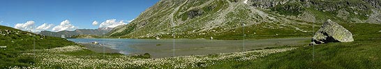 P000350: Panorama Chummibort VIII