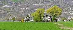 P000956: Panoramafoto Grosseia