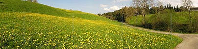 P000978: Panoramafoto Rüegsbach, Emmental