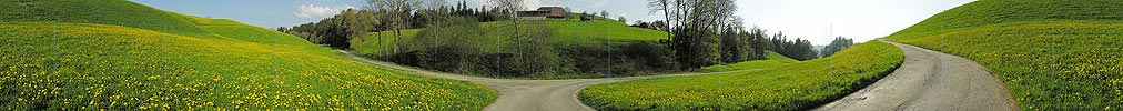 P000981: Panoramafoto Rüegsbach, Emmental