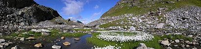 P001293: Panorama Wollgras