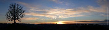 P001633: Panorama Sonnenuntergang mit Baum (Linde)