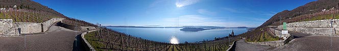 P001878: Panorama Ligerz, Bielersee und St. Petersinsel