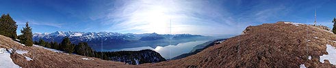 P001907: Niederhorn