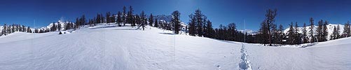P001956: 360-Grad Panorama Alphütte in lichtem Lärchenwald im Winter