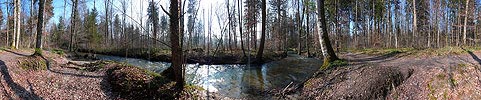 P002017: Panorama Auenlandschaft & Auenwald