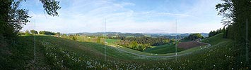 P002135: Panoramabild Heuwiese