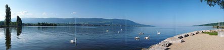 P002225: Panoramabild Yverdon und Neuenburgersee