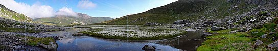 P002385: Panoramabild Morgenstimmung an Bergbach