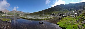 P002395: Panoramabild Kraftort: Wasserlauf und Wollgras