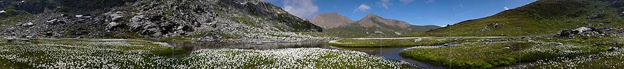 P002400: Panoramafoto Wasserlauf und Wollgras