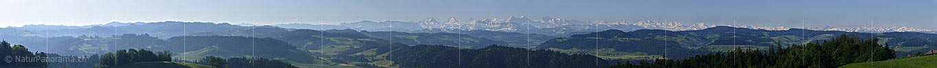 P002429a: Panoramabild Berner Alpen vom Emmental