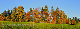 P002794a: Panorama Herbstwald