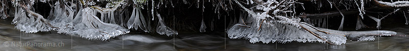 P003036: Panoramabild Raureif, Eisgebilde (Eisbirne) und Wasser