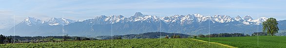 P003471b: Panoramafoto Frühlingslandschaft mit Stockhornkette und Gantrisch