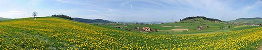 P003483: Panoramabild Frühling