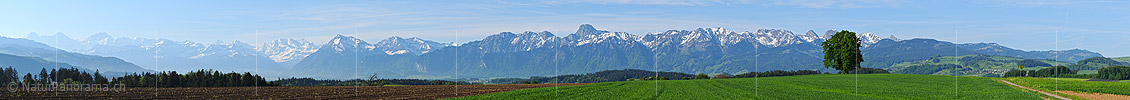 New in NaturPanorama.ch: Panorama photo Bernese Alps and Stockhorn chain