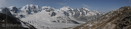 P003742d: Hochauflösendes Panoramafoto Piz Palü - Piz Bernina - Piz Morteratsch (Berninagruppe)