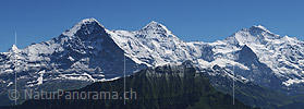 P003892f: Panoramafoto Das Dreigestirn Eiger, Mönch und Jungfrau