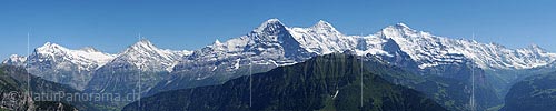 P003897b: Panoramafoto von Wetterhorn, Schreckhorn, Eiger, Mönch und Jungfrau von der Schynigen Platte