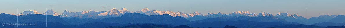 P004001: Panoramabild Alpenkette im Abendlicht