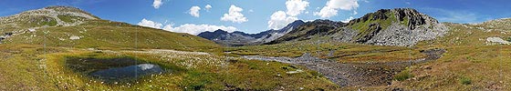 P004071: Panoramabild Tümpel und Wollgras in urtümlicher Landschaft