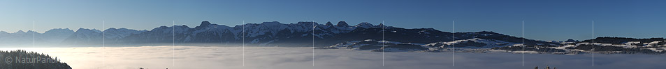 P004552a: Panoramafoto Nebelmeer und Stockhornkette vom Belpberg