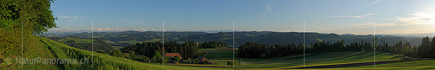 P004984b: Panoramafoto Getreidefeld in lieblicher Hügellandschaft