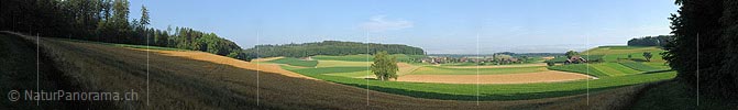 P005286: Panoramabild Kulturlandschaft