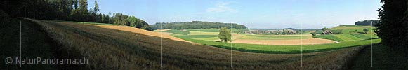 P005287: Grosspanoramabild Getreidefelder