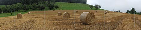 P005414: Panoramabild Runde Strohballen auf Feld
