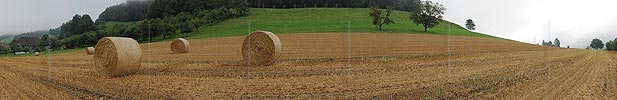 P005416: Panoramabild Strohernte