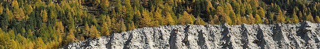 P005754: Panorama Seitenmoräne vor herbstlichem Lärchenwald