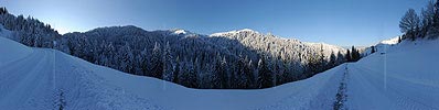 P005922: Hochauflösendes Panoramabild Frisch verschneite Winterlandschaft