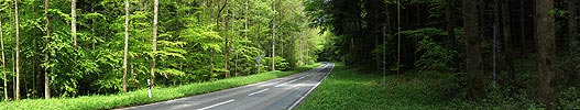 P006131: Panorama Strasse in Wald