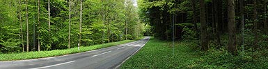 P006132: Grosspanorama Strasse in Wald